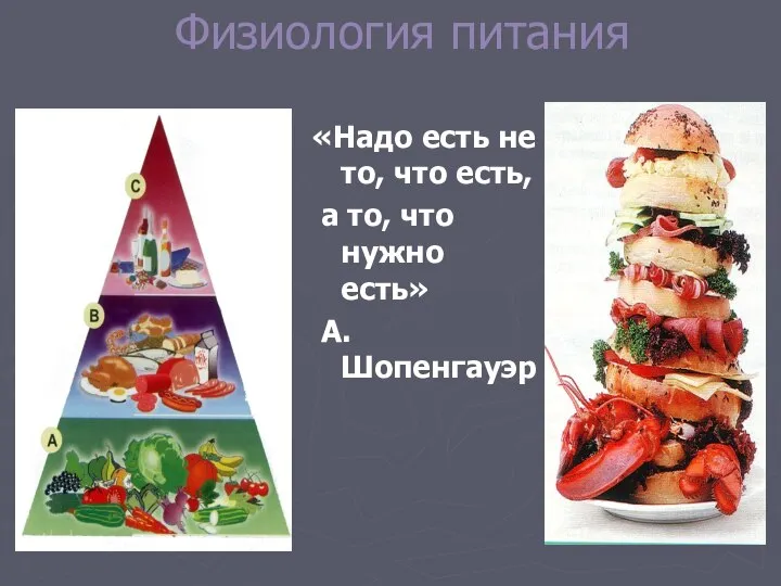 Физиология питания «Надо есть не то, что есть, а то, что нужно есть» А. Шопенгауэр