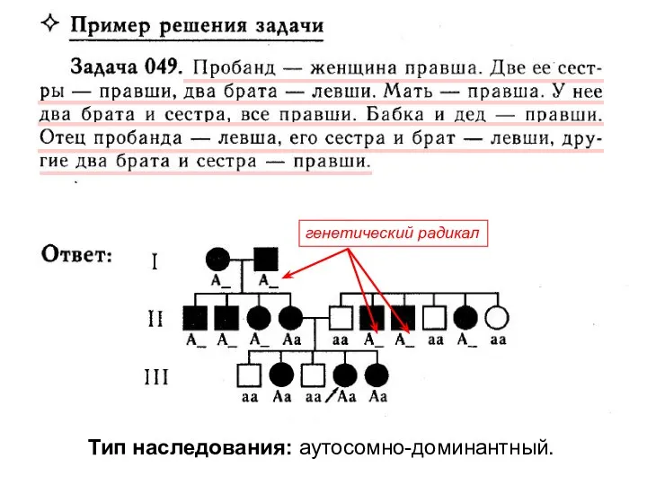 Тип наследования: аутосомно-доминантный. генетический радикал