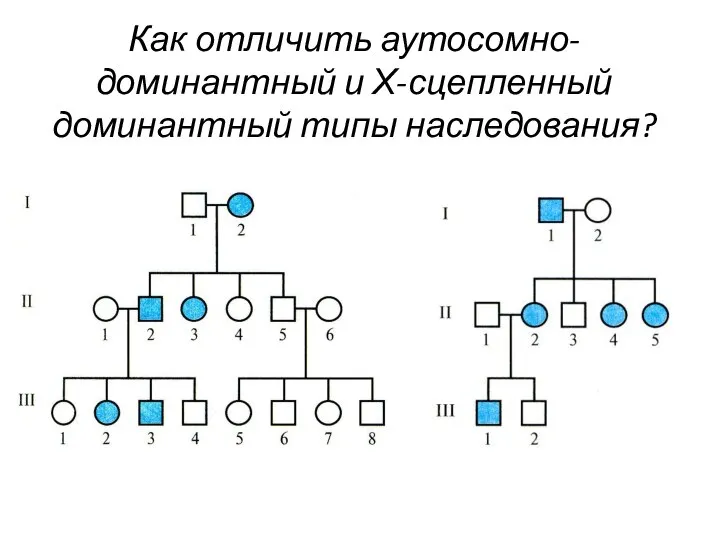 Как отличить аутосомно-доминантный и Х-сцепленный доминантный типы наследования?