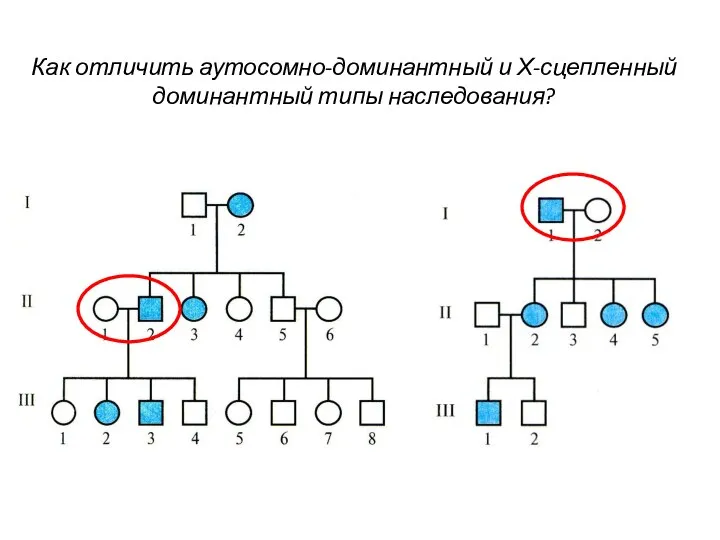 Как отличить аутосомно-доминантный и Х-сцепленный доминантный типы наследования?