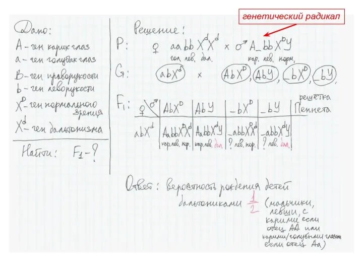 генетический радикал