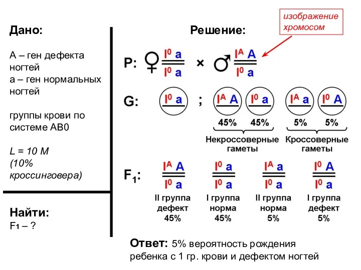 Дано: А – ген дефекта ногтей а – ген нормальных ногтей