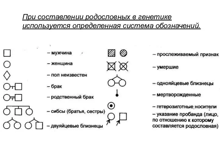 При составлении родословных в генетике используется определенная система обозначений.