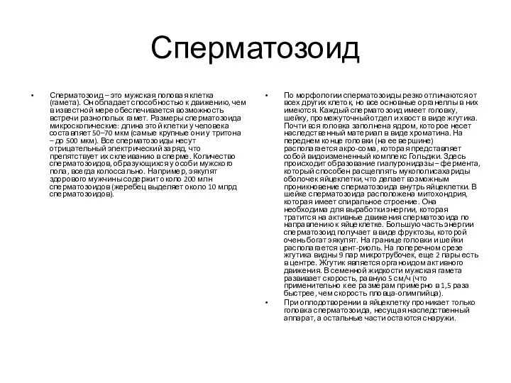 Сперматозоид Сперматозоид – это мужская половая клетка (гамета). Он обладает способностью