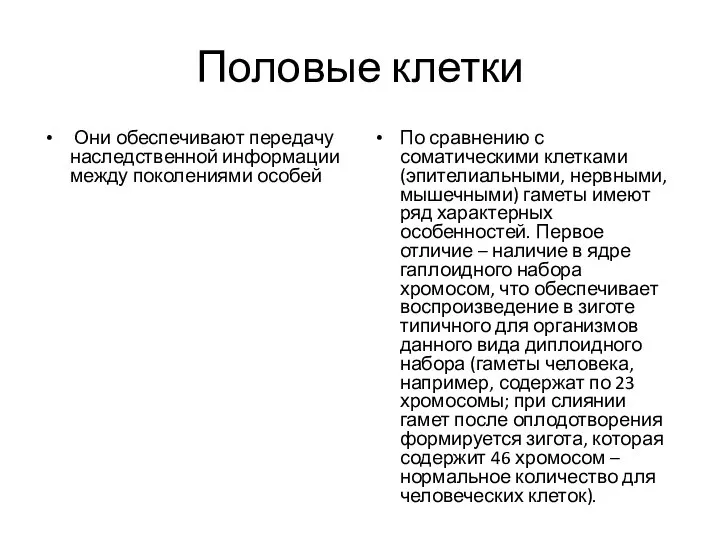 Половые клетки Они обеспечивают передачу наследственной информации между поколениями особей По