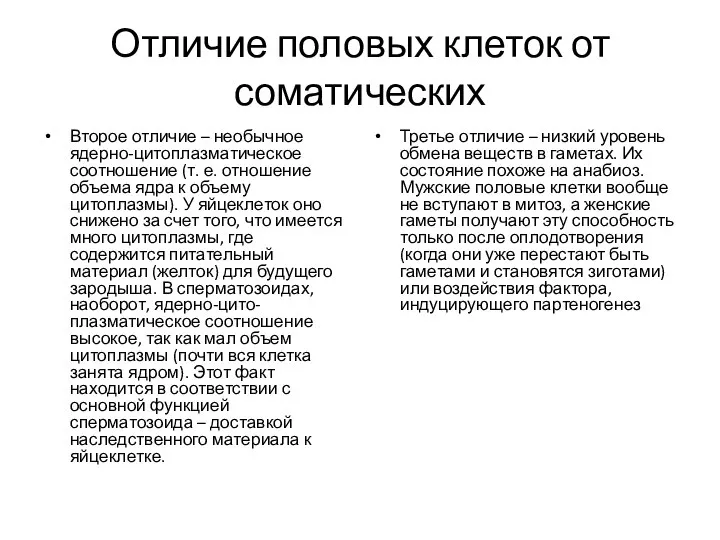 Отличие половых клеток от соматических Второе отличие – необычное ядерно-цитоплазматическое соотношение