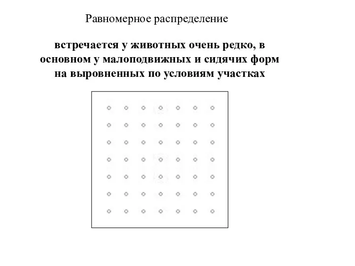 Равномерное распределение встречается у животных очень редко, в основном у малоподвижных