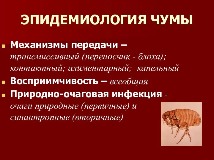 ЭПИДЕМИОЛОГИЯ ЧУМЫ Механизмы передачи – трансмиссивный (переносчик - блоха); контактный; алиментарный;