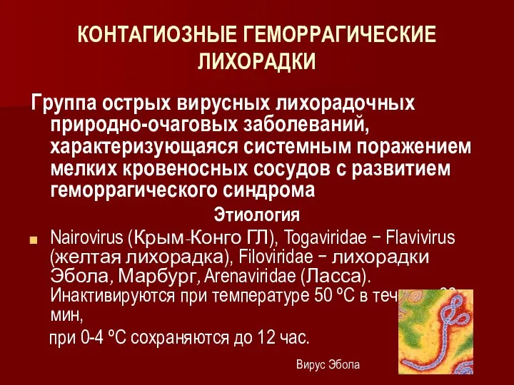 КОНТАГИОЗНЫЕ ГЕМОРРАГИЧЕСКИЕ ЛИХОРАДКИ Группа острых вирусных лихорадочных природно-очаговых заболеваний, характеризующаяся системным