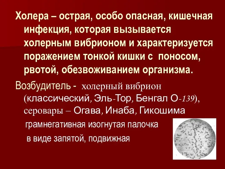 Холера – острая, особо опасная, кишечная инфекция, которая вызывается холерным вибрионом