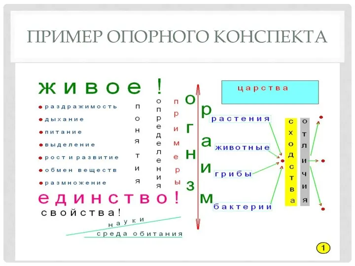 ПРИМЕР ОПОРНОГО КОНСПЕКТА