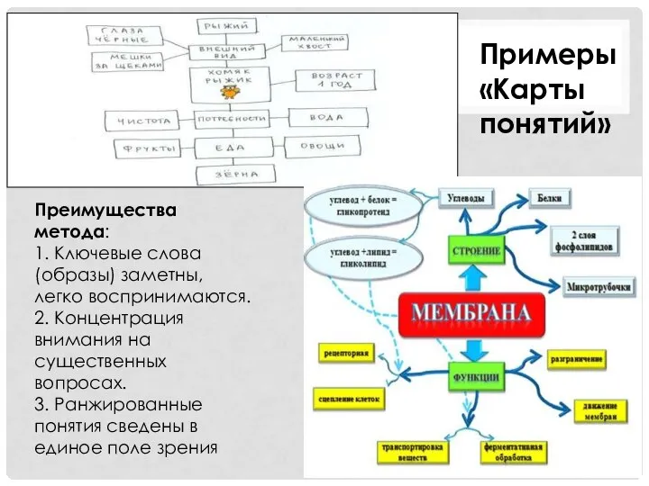 Примеры «Карты понятий» Преимущества метода: 1. Ключевые слова (образы) заметны, легко