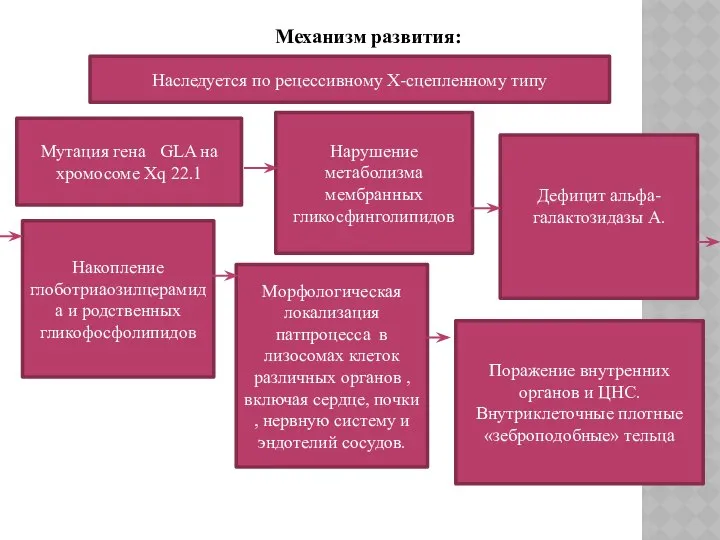 Механизм развития: Наследуется по рецессивному Х-сцепленному типу Мутация гена GLA на