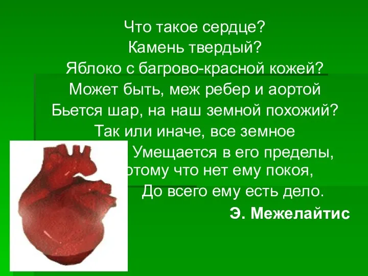 Что такое сердце? Камень твердый? Яблоко с багрово-красной кожей? Может быть,