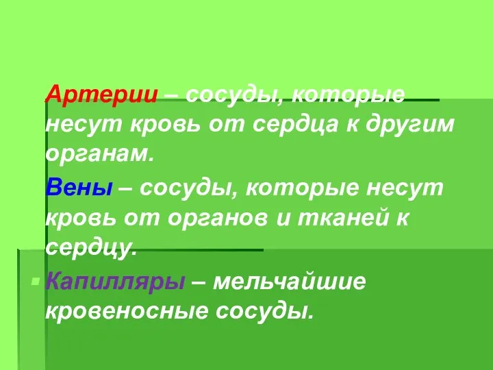 Артерии – сосуды, которые несут кровь от сердца к другим органам.