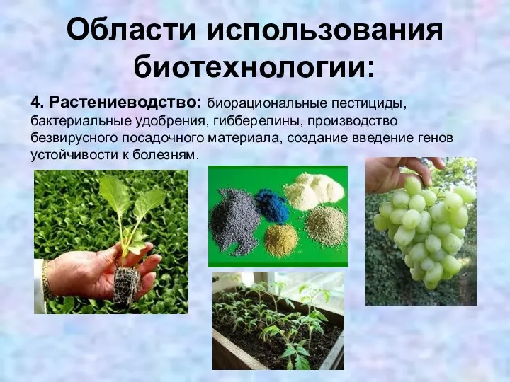 Области использования биотехнологии: 4. Растениеводство: биорациональные пестициды, бактериальные удобрения, гибберелины, производство