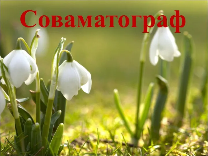 Соваматограф