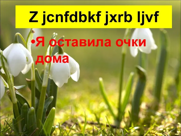 Z jcnfdbkf jxrb ljvf Я оставила очки дома