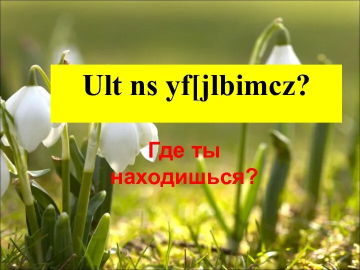 Ult ns yf[jlbimcz? Где ты находишься?