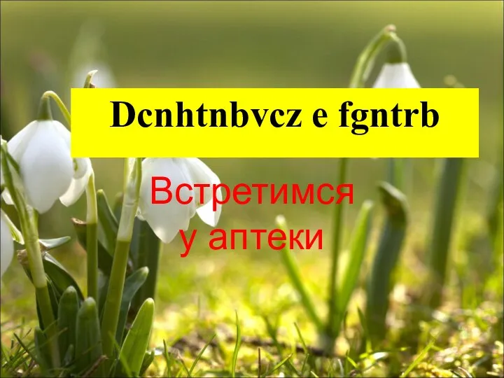 Dcnhtnbvcz e fgntrb Встретимся у аптеки