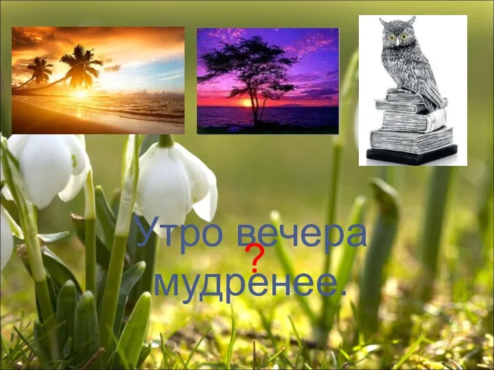 Утро вечера мудренее. ?