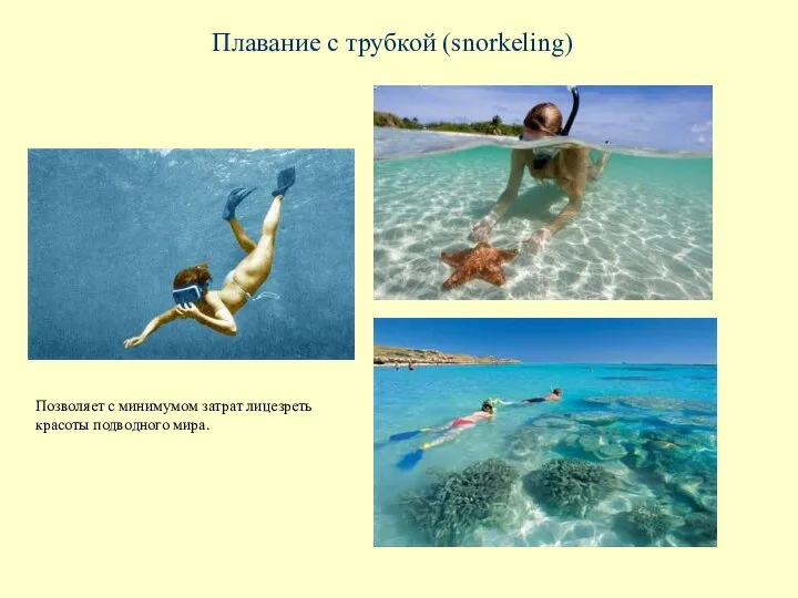 Плавание с трубкой (snorkeling) Позволяет с минимумом затрат лицезреть красоты подводного мира.