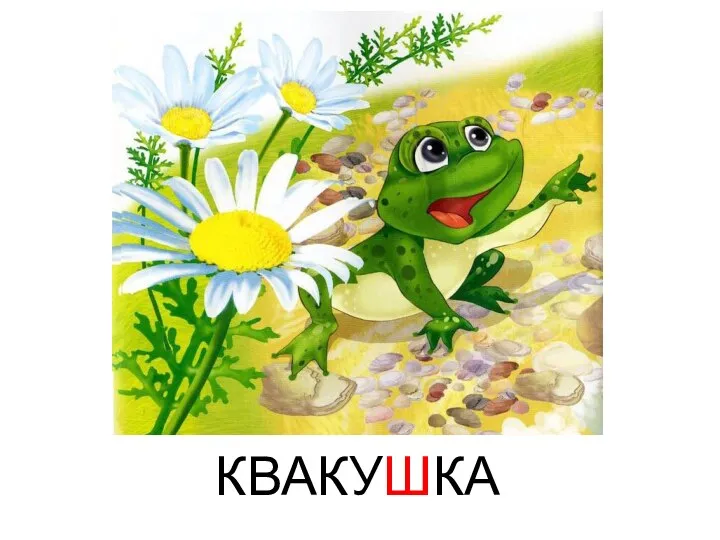 КВАКУШКА