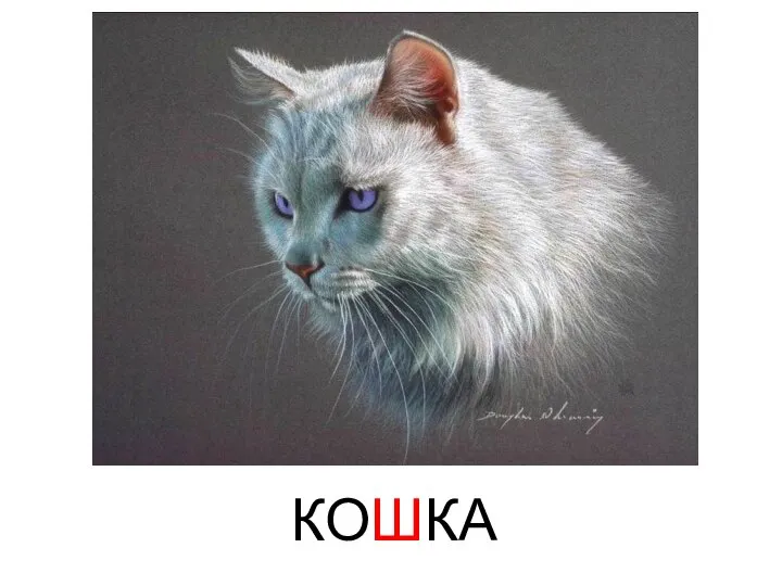 КОШКА