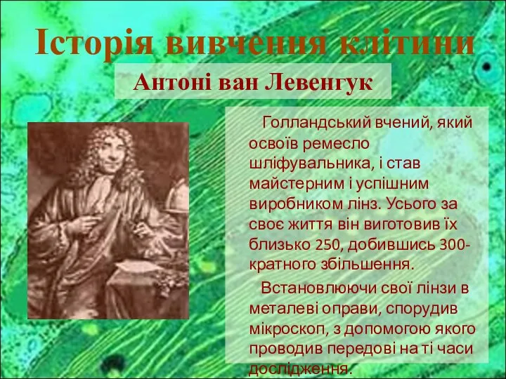 Голландський вчений, який освоїв ремесло шліфувальника, і став майстерним і успішним