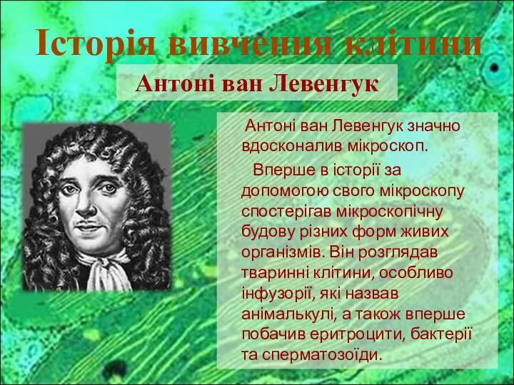 Антоні ван Левенгук значно вдосконалив мікроскоп. Вперше в історії за допомогою