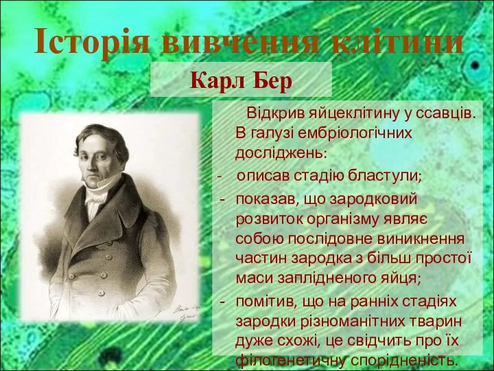 Відкрив яйцеклітину у ссавців. В галузі ембріологічних досліджень: - описав стадію