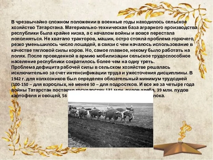 В чрезвычайно сложном положении в военные годы находилось сельское хозяйство Татарстана.