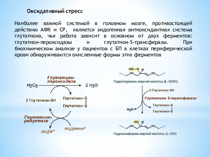 Наиболее важной системой в головном мозге, противостоящей действию АФК и СР,