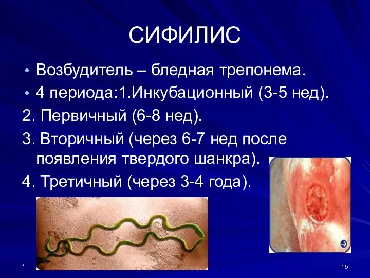 СИФИЛИС Возбудитель – бледная трепонема. 4 периода:1.Инкубационный (3-5 нед). 2. Первичный