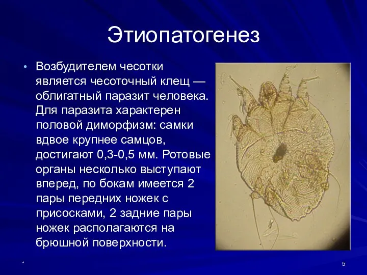 Этиопатогенез Возбудителем чесотки является чесоточный клещ — облигатный паразит человека. Для