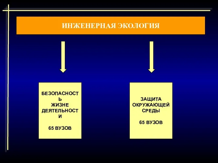 ИНЖЕНЕРНАЯ ЭКОЛОГИЯ БЕЗОПАСНОСТЬ ЖИЗНЕ ДЕЯТЕЛЬНОСТИ 65 ВУЗОВ ЗАЩИТА ОКРУЖАЮЩЕЙ СРЕДЫ 65 ВУЗОВ