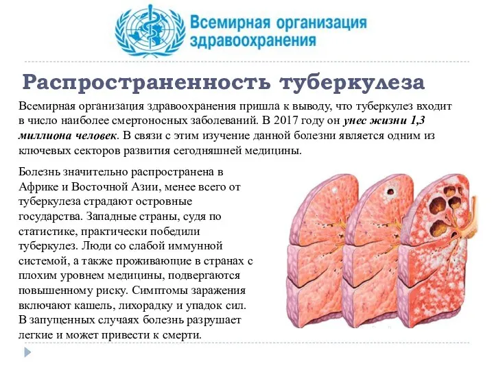 Распространенность туберкулеза Всемирная организация здравоохранения пришла к выводу, что туберкулез входит