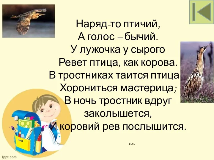 выпь Наряд-то птичий, А голос – бычий. У лужочка у сырого