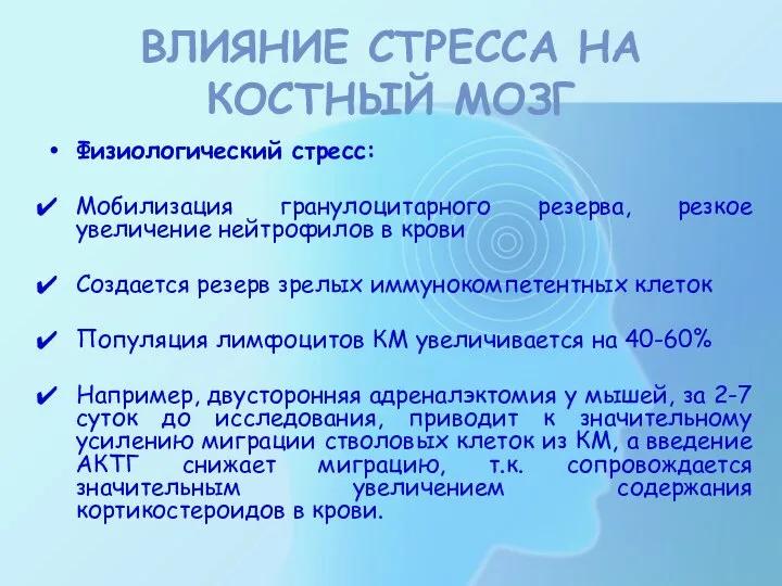 ВЛИЯНИЕ СТРЕССА НА КОСТНЫЙ МОЗГ Физиологический стресс: Мобилизация гранулоцитарного резерва, резкое