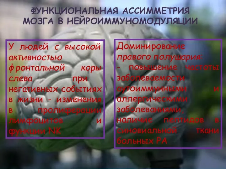 ФУНКЦИОНАЛЬНАЯ АССИММЕТРИЯ МОЗГА В НЕЙРОИММУНОМОДУЛЯЦИИ Доминирование правого полушария: - повышение частоты