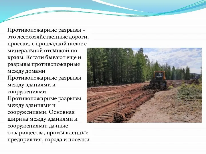 Противопожарные разрывы – это лесохозяйственные дороги, просеки, с прокладкой полос с