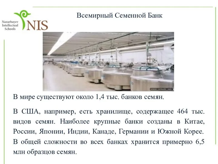 Всемирный Семенной Банк В мире существуют около 1,4 тыс. банков семян.