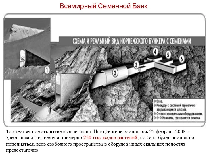 Всемирный Семенной Банк Торжественное открытие «ковчега» на Шпицбергене состоялось 25 февраля