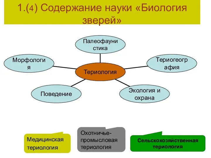 1.(4) Содержание науки «Биология зверей» Медицинская териология Охотничье-промысловая териология Сельскохозяйственная териология