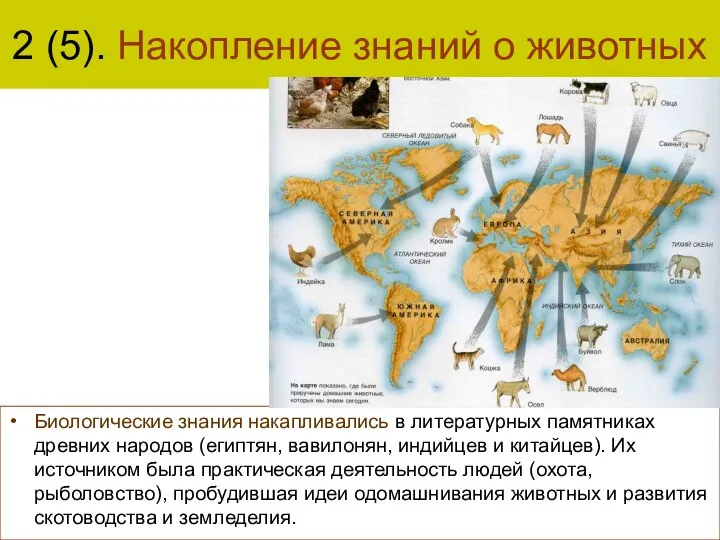 2 (5). Накопление знаний о животных Биологические знания накапливались в литературных