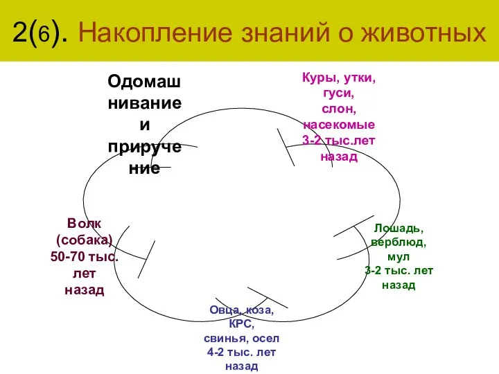 2(6). Накопление знаний о животных