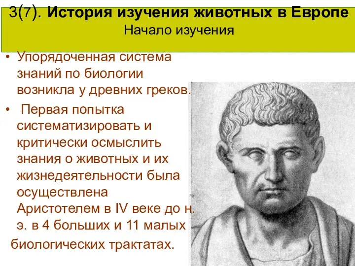 3(7). История изучения животных в Европе Начало изучения Упорядоченная система знаний