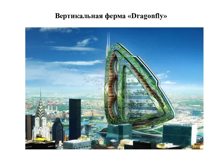 Вертикальная ферма «Dragonfly»