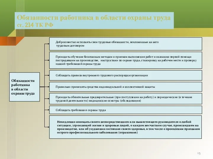 Обязанности работника в области охраны труда ст. 214 ТК РФ Добросовестно