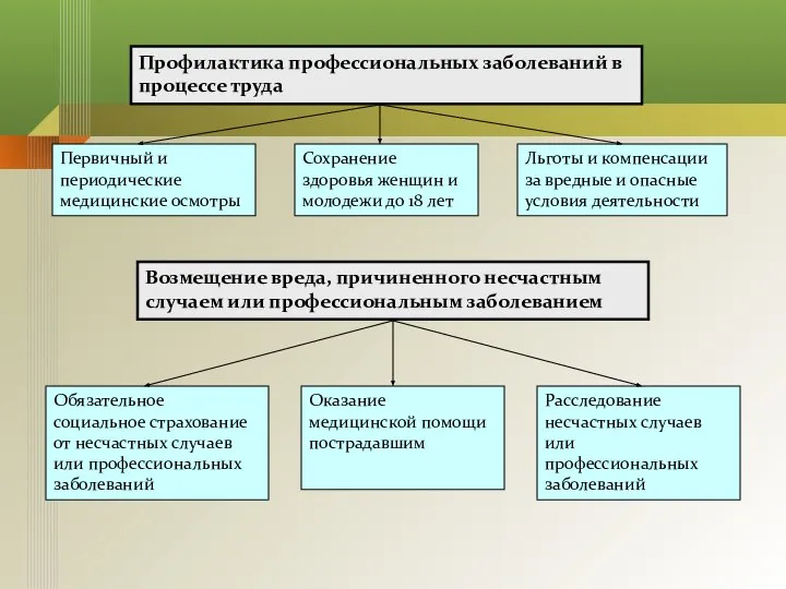 Профилактика профессиональных заболеваний в процессе труда Первичный и периодические медицинские осмотры